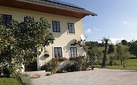 Marta'S House